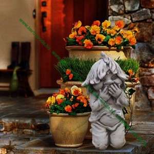 Kerti t&ouml;rpe sz&eacute;gyenlős tavasz man&oacute;