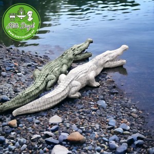 Kerti t&oacute; dekor&aacute;ci&oacute; nagy krokodil szobor 