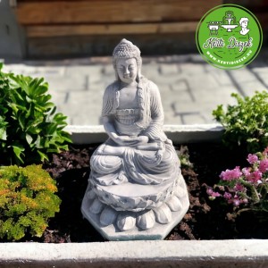 Buddha l&oacute;tuszvir&aacute;gon