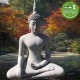 Női Buddha