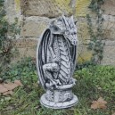 V&iacute;zk&ouml;pő s&aacute;rk&aacute;ny