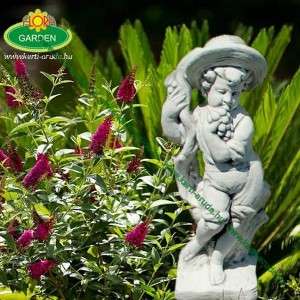 Szobor kalapos fi&uacute; szőlővel