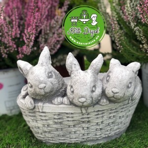 Fagy&aacute;ll&oacute; mad&aacute;ritat&oacute;