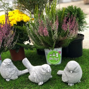 Mad&aacute;r kerti d&iacute;sz