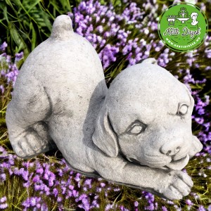 K&ouml;ly&ouml;k kutya