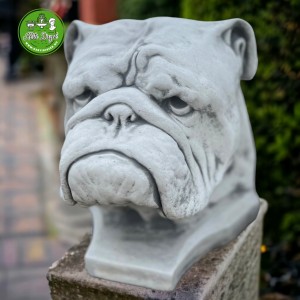 Angol Bulldog fej szobor