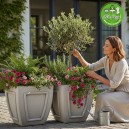 Óriás Kő Kaspó, Leanderekhez és Városi dekorációkhoz