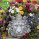 oroszlános szobor virágtartó