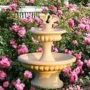 Sz&ouml;kők&uacute;t esk&uuml;vők rendezv&eacute;nyek sz&aacute;m&aacute;ra